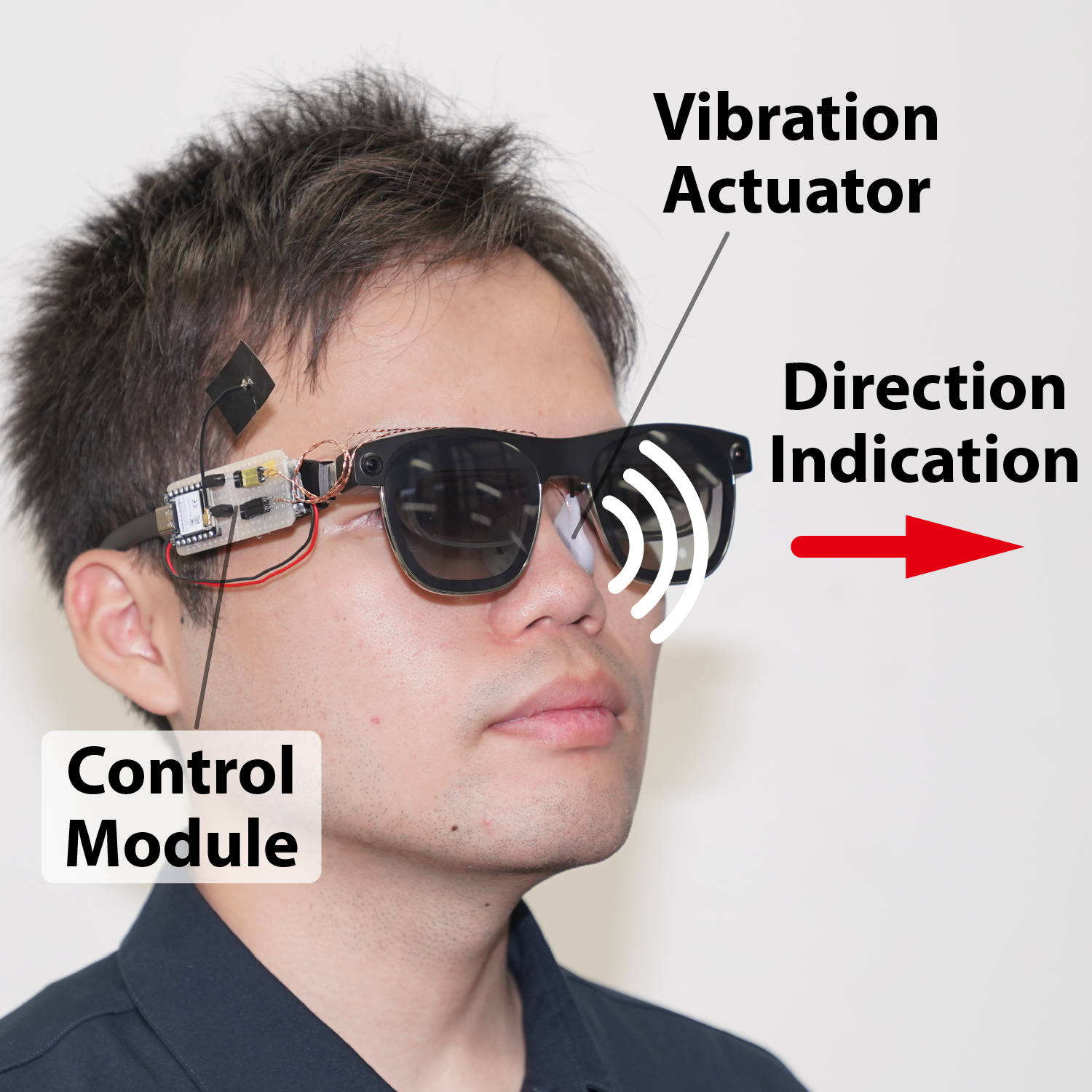 Nose Knows North のティーザー画像